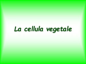 La cellula vegetale Organismi autotrofi produttori della biosfera