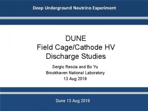 Deep Underground Neutrino Experiment DUNE Field CageCathode HV