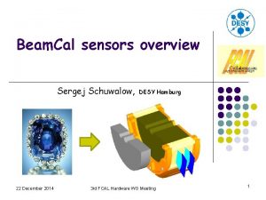 Beam Cal sensors overview Sergej Schuwalow 22 December