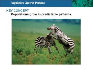 Population Growth 14 4 Population and Patterns Growth