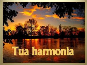 Tua harmonia Para que vivas em harmonia com