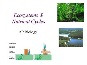 Ecosystems Nutrient Cycles AP Biology Trophic Relationships A