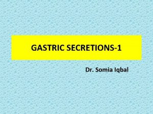 GASTRIC SECRETIONS 1 Dr Somia Iqbal STOMACH FUNDUS