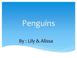 Penguins By Lily Alissa Table of Contents Introduction