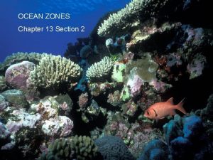 OCEAN ZONES Chapter 13 Section 2 Ocean Zones