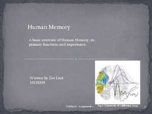 Human Memory A basic overview of Human Memory