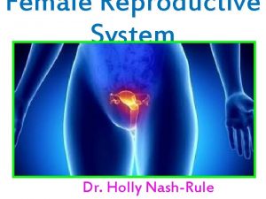 Female Reproductive System Dr Holly NashRule Female Reproductive