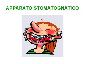 APPARATO STOMATOGNATICO Apparato stomatognatico Lapparato stomatognatico con le