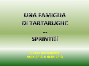 UNA FAMIGLIA DI TARTARUGHE SPRINT A cura dei