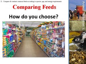 D Compare contrast common feeds according to species