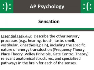 AP Psychology Sensation Essential Task 4 3 Describe