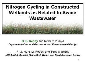 Nitrogen Cycling in Constructed Wetlands as Related to