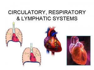 CIRCULATORY RESPIRATORY LYMPHATIC SYSTEMS CIRCULATORY SYSTEM Made up