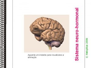 Netxplica 2006 Sistema neurohormonal Aguarda um instante para