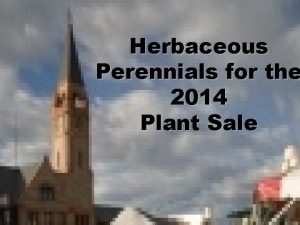 Herbaceous Perennials for the 2014 Plant Sale Sonoran