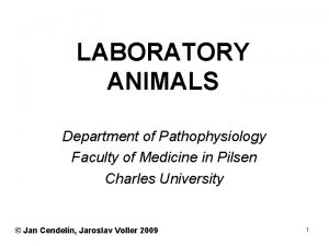 LABORATORY ANIMALS Department of Pathophysiology Faculty of Medicine