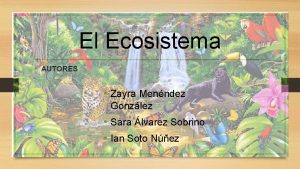 El Ecosistema AUTORES Zayra Menndez Gonzlez Sara lvarez