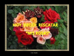 HOY DECIDI RESCATAR MIS ROSAS Con Audio Decid