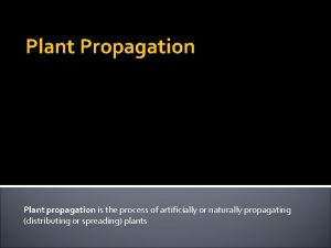 Plant Propagation Plant propagation is the process of