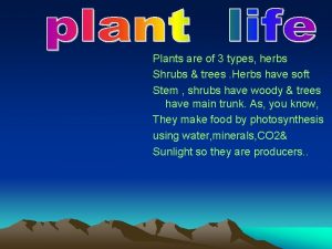 Plants are of 3 types herbs Shrubs trees