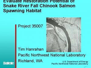 Evaluate Restoration Potential of Snake River Fall Chinook
