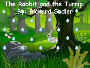 The Rabbit and the Turnip By Richard Sadler