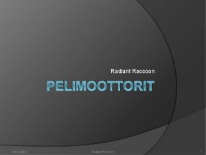 Radiant Raccoon PELIMOOTTORIT 20 12 2021 Radiant Raccoon