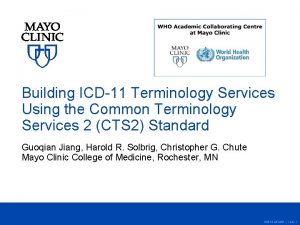 Building ICD11 Terminology Services Using the Common Terminology