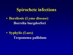 Spirochete infections Boreliosis Lyme disease Borrelia burgdorferi Syphylis