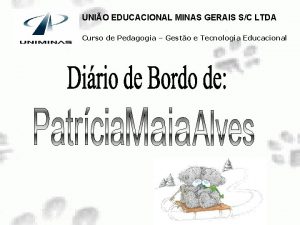 UNIO EDUCACIONAL MINAS GERAIS SC LTDA Curso de