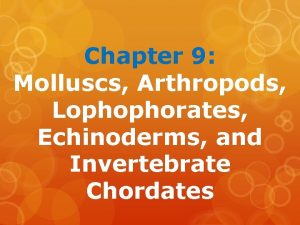 Chapter 9 Molluscs Arthropods Lophophorates Echinoderms and Invertebrate