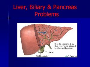 Liver Biliary Pancreas Problems Introduction Liver is the