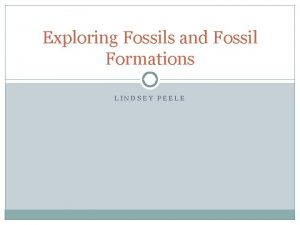 Exploring Fossils and Fossil Formations LINDSEY PEELE 11192013