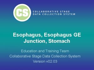 Esophagus Esophagus GE Junction Stomach Education and Training