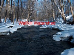 Wallkill Watershed A watershed is a ridge of