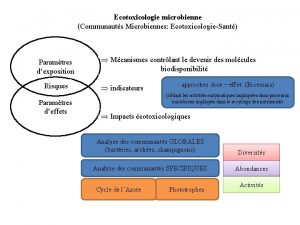 Ecotoxicologie microbienne Communauts Microbiennes EcotoxicologieSant Paramtres dexposition Risques