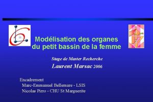 Modlisation des organes du petit bassin de la