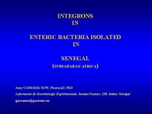 INTEGRONS IN ENTERIC BACTERIA ISOLATED IN SENEGAL SUBSAHARANAFRICA