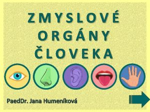 ZMYSLOV ORGNY LOVEKA Paed Dr Jana Humenkov Klikni