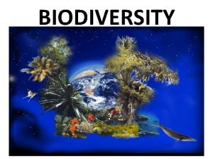 BIODIVERSITY ECOLOGY The study of interactions among living