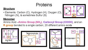 Proteins Structure Elements Carbon C Hydrogen H Oxygen