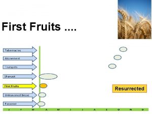 First Fruits Resurrected Feast 3 t Name First