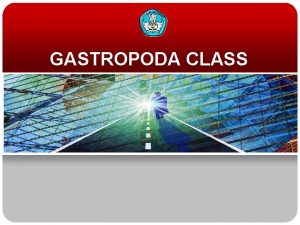 GASTROPODA CLASS Gastropoda derived from the word Gaster