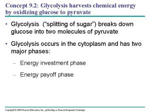 Concept 9 2 Glycolysis harvests chemical energy by