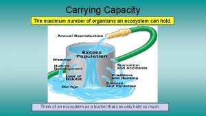 Carrying Capacity The maximum number of organisms an