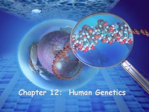 Chapter 12 Human Genetics Human Genome Project identify