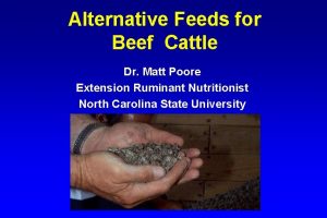 Alternative Feeds for Beef Cattle Dr Matt Poore