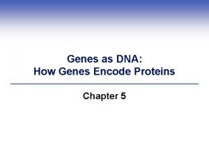 Genes as DNA How Genes Encode Proteins Chapter