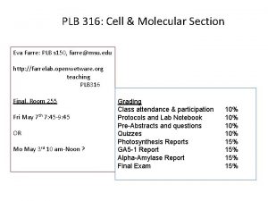 PLB 316 Cell Molecular Section Eva Farre PLB