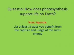 Quaestio How does photosynthesis support life on Earth